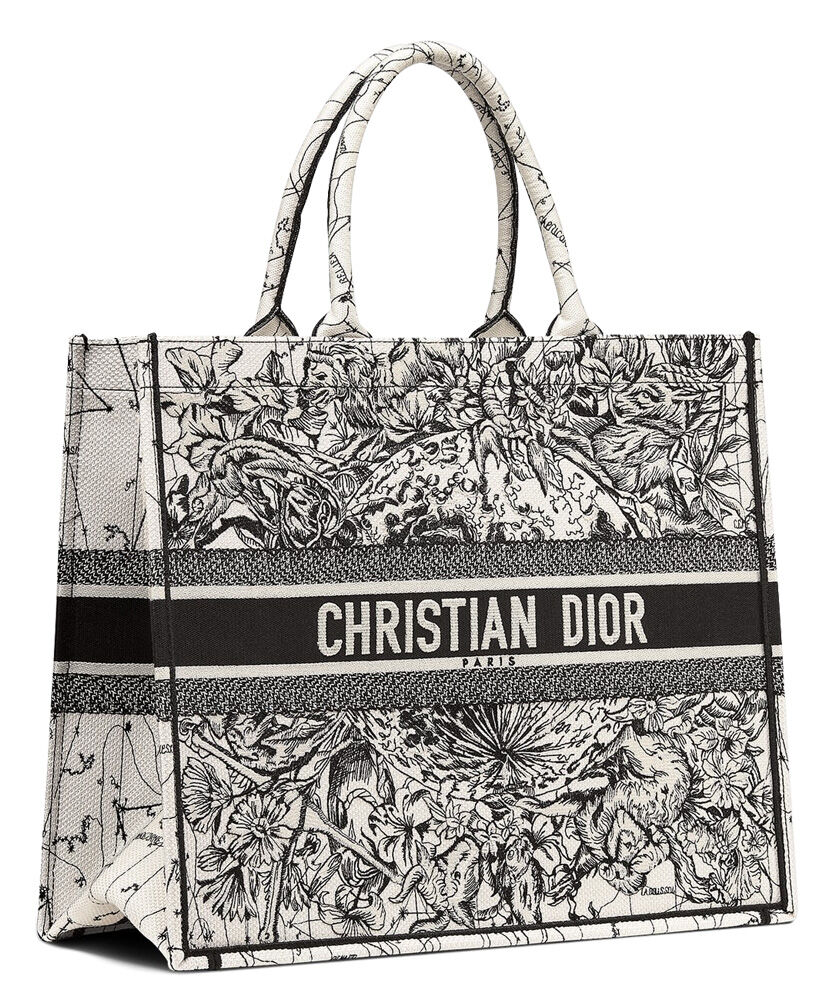 Christian Dior Book Tote Dior Oblique Canvas Bag White